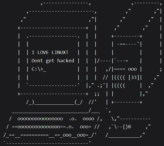 Hacker ASCII Art